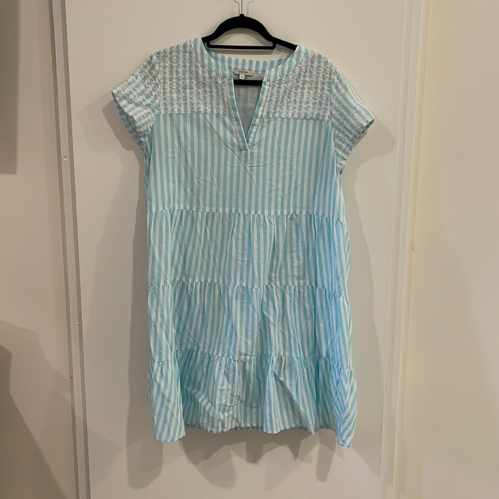 Tyler Boe Blue and White Stripe Tanya Dress